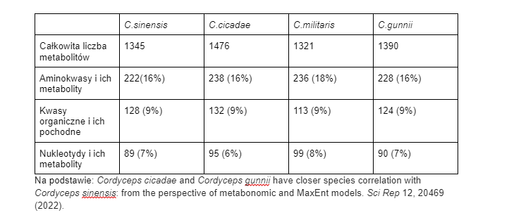 cordyceps tabelka