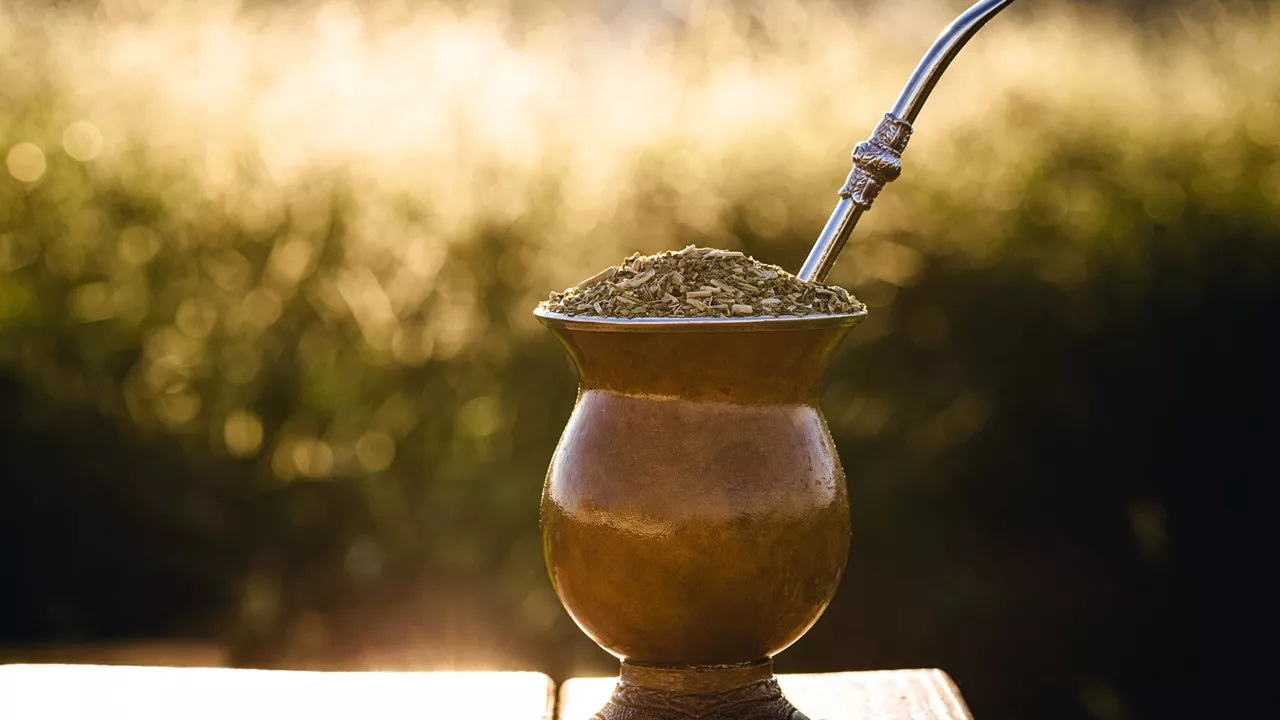 Herbata yerba mate  - czym  jest i jakie ma właściwości?
